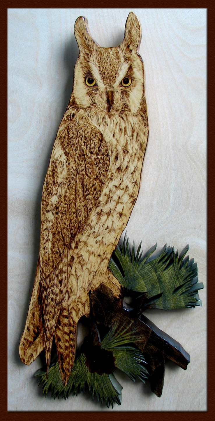 asio otus tanja sova pyrography long-eared owl
